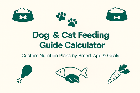 Hawkso Pet Feeding Calculator: The Smart Way to Plan Meals for Dogs and Cats