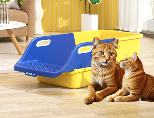 Hawkso Single Scoop Clean & Expandable Cat Litter Box with two orange cats sitting beside the large, yellow and blue litter box. The image highlights the convenience of one-time scooping and its expandable design, ideal for multi-cat households.